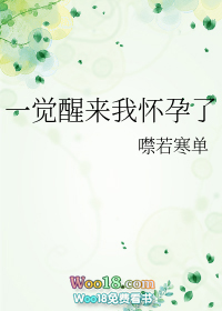 一觉醒来我怀孕了(穿越)